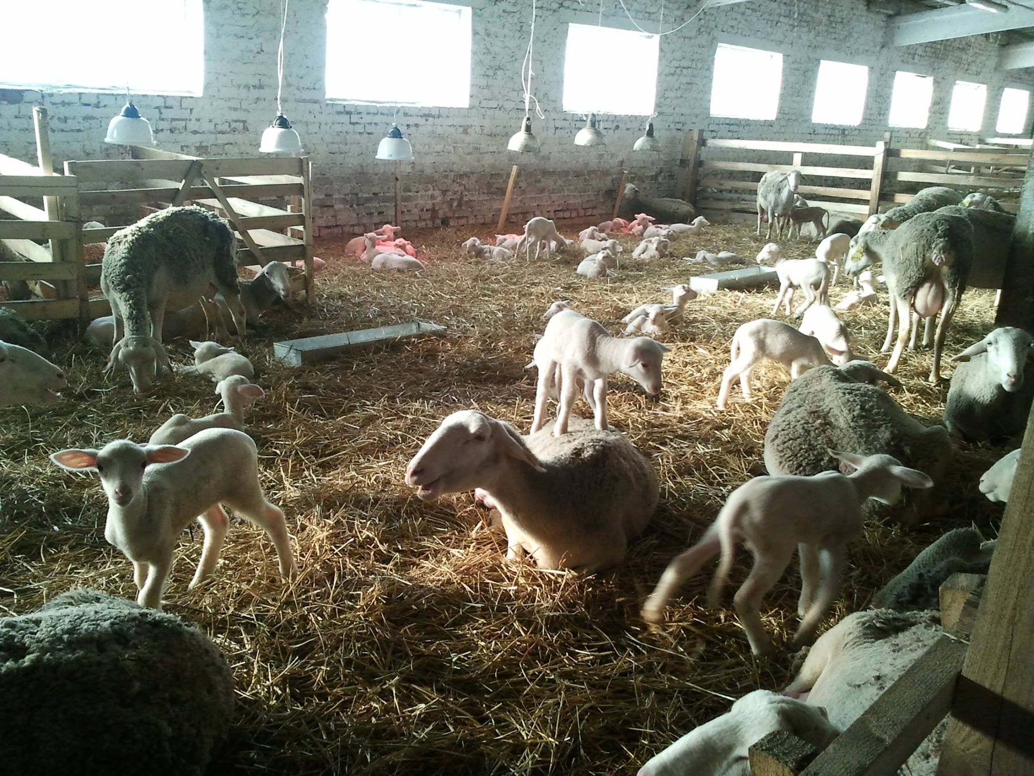 506688956_10064497146981142_3244517301345568023_n