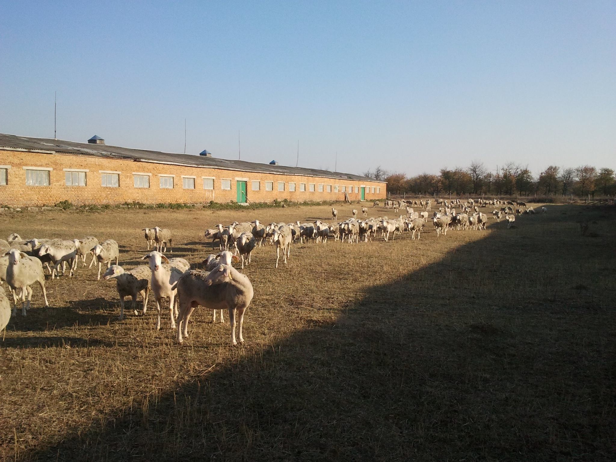 506688957_10064498180314372_7669225393252779428_n