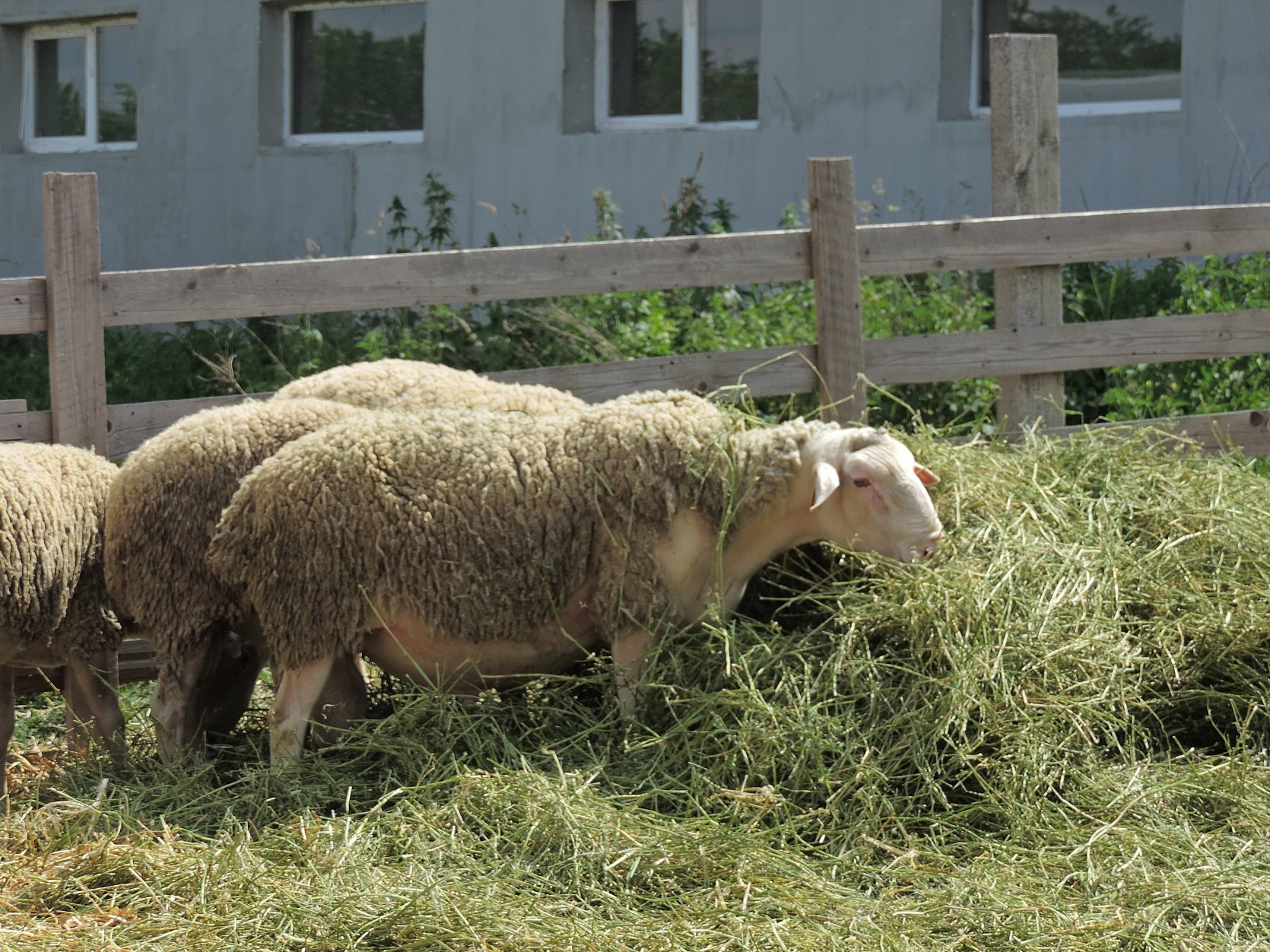 506867086_10064498133647710_4135749527215059936_n