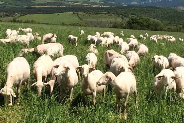 tild6663-3430-4131-a664-353837366366__2022-05-22_184313